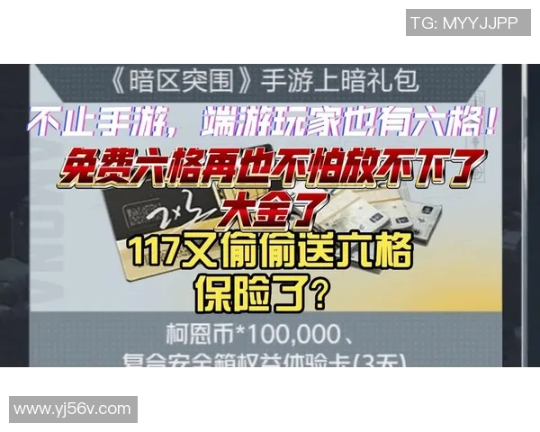 金钱与实力的博弈手游世界中的付费与免费玩家之争